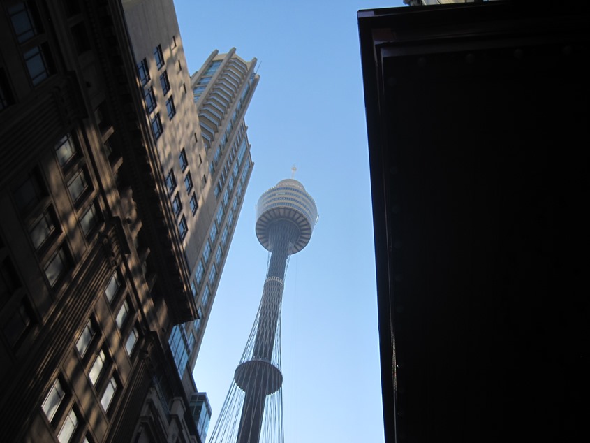 高304米的悉尼塔，据说可以看到整个悉尼景色。也是，悉尼除了市中心，其他地方都没什么高楼